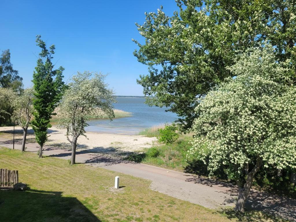 Baltic Lagoon Resort Direkt Am Meer Fuhlendorf  Екстериор снимка